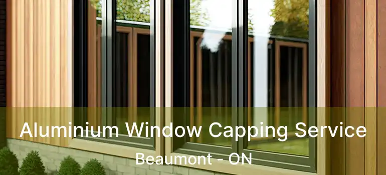  Aluminium Window Capping Service Beaumont - ON