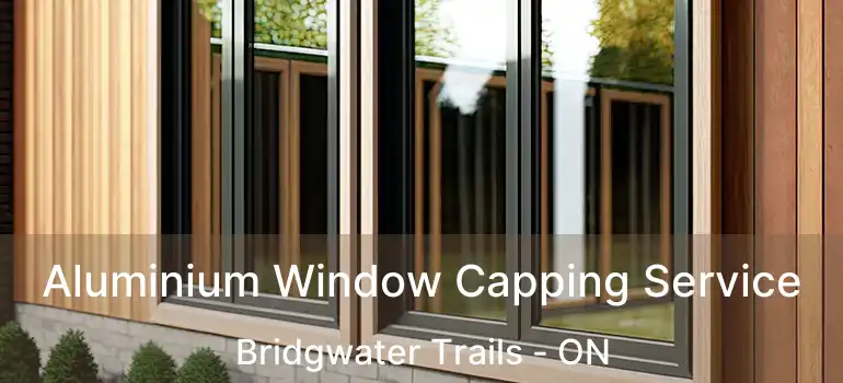  Aluminium Window Capping Service Bridgwater Trails - ON
