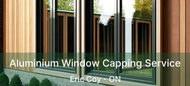  Aluminium Window Capping Service Eric Coy - ON