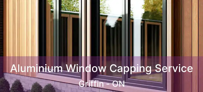  Aluminium Window Capping Service Griffin - ON
