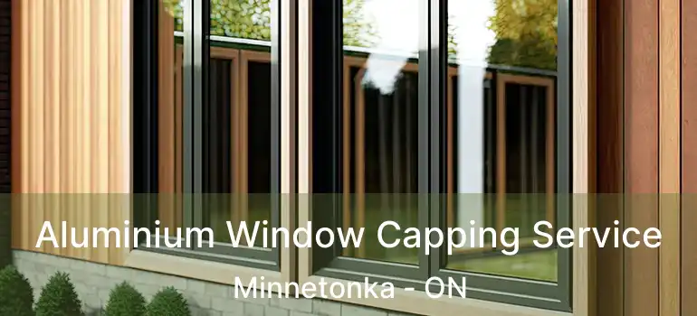  Aluminium Window Capping Service Minnetonka - ON