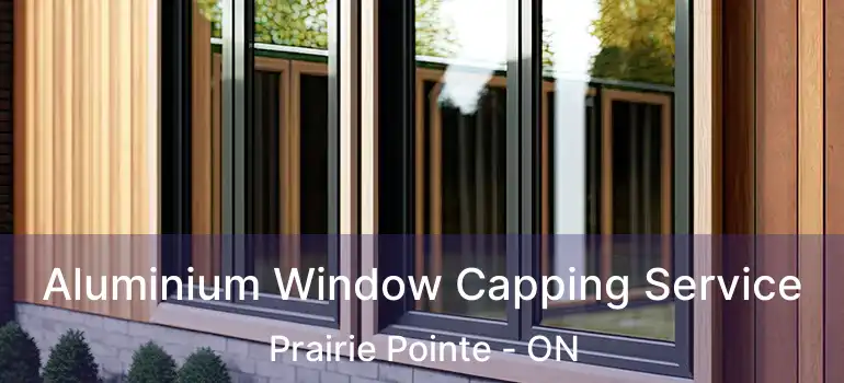 Aluminium Window Capping Service Prairie Pointe - ON