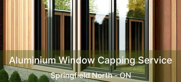  Aluminium Window Capping Service Springfield North - ON