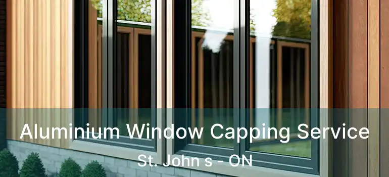  Aluminium Window Capping Service St. John s - ON