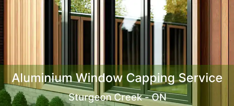  Aluminium Window Capping Service Sturgeon Creek - ON