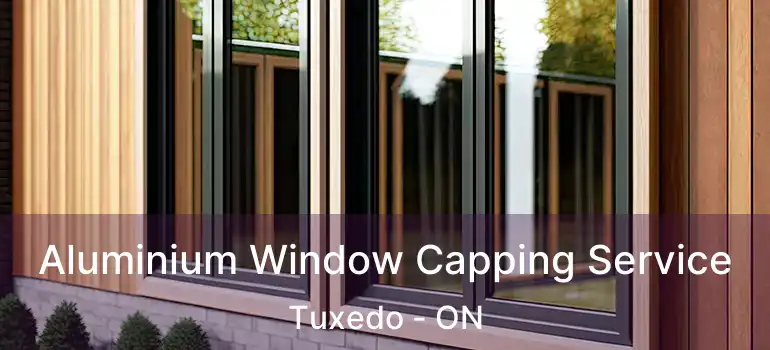  Aluminium Window Capping Service Tuxedo - ON