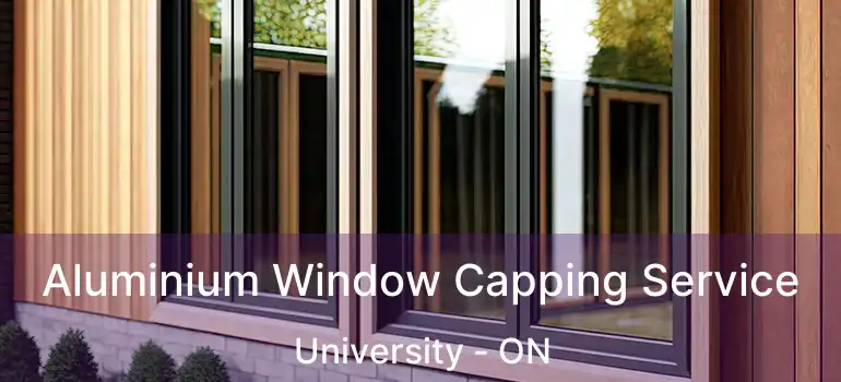  Aluminium Window Capping Service University - ON