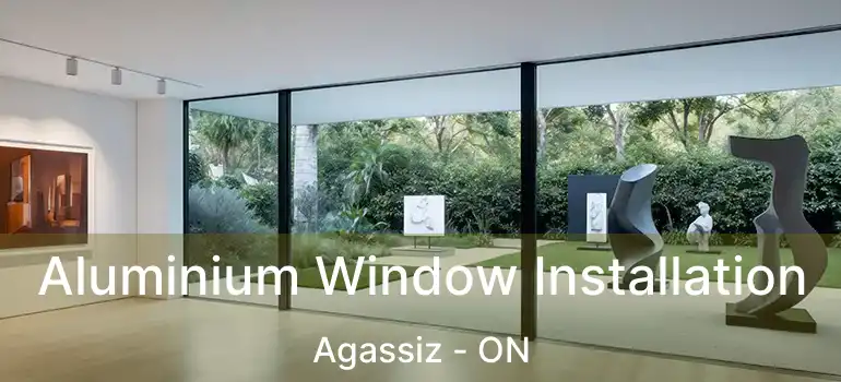  Aluminium Window Installation Agassiz - ON