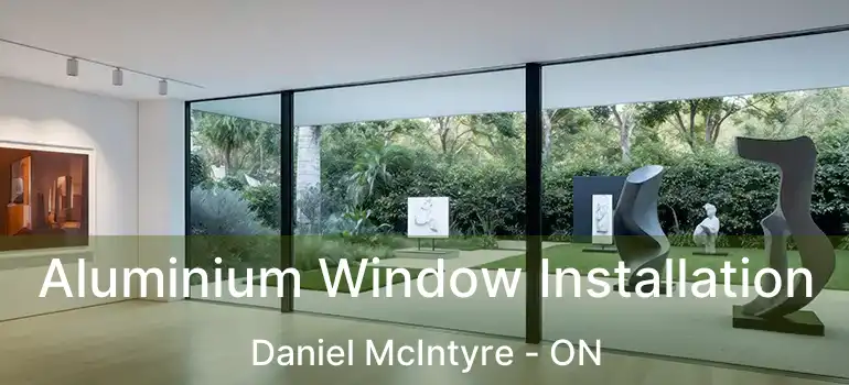  Aluminium Window Installation Daniel McIntyre - ON