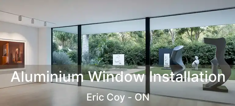  Aluminium Window Installation Eric Coy - ON