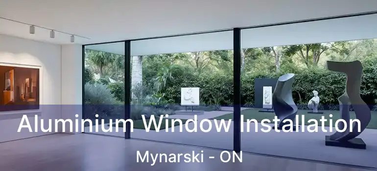  Aluminium Window Installation Mynarski - ON