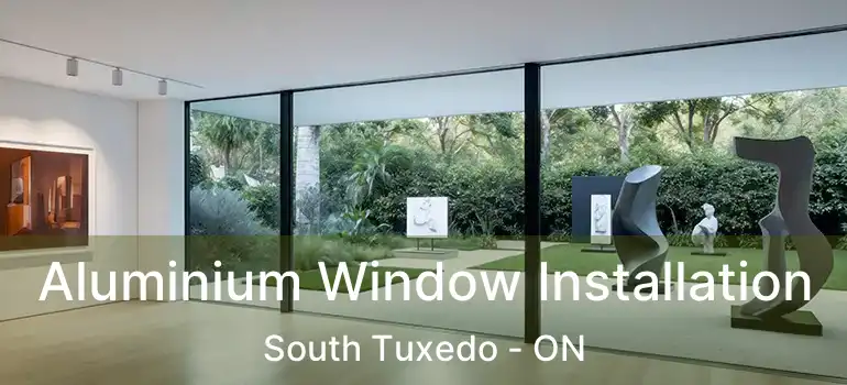 Aluminium Window Installation South Tuxedo - ON