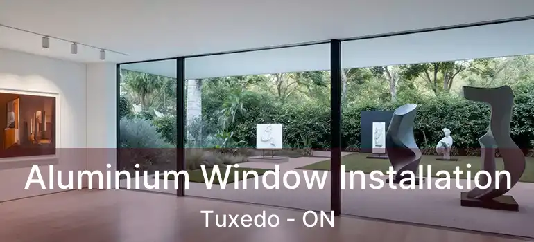  Aluminium Window Installation Tuxedo - ON