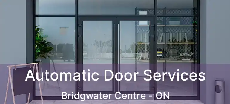  Automatic Door Services Bridgwater Centre - ON