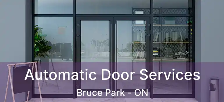  Automatic Door Services Bruce Park - ON