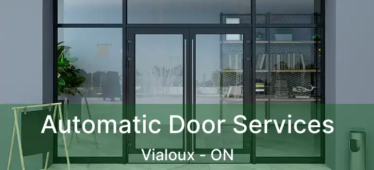  Automatic Door Services Vialoux - ON