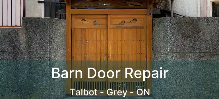  Barn Door Repair Talbot - Grey - ON