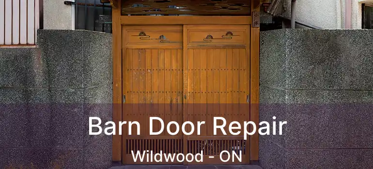  Barn Door Repair Wildwood - ON