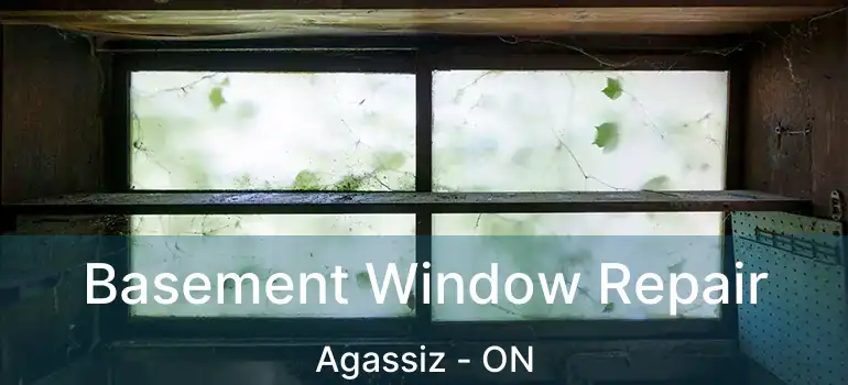  Basement Window Repair Agassiz - ON