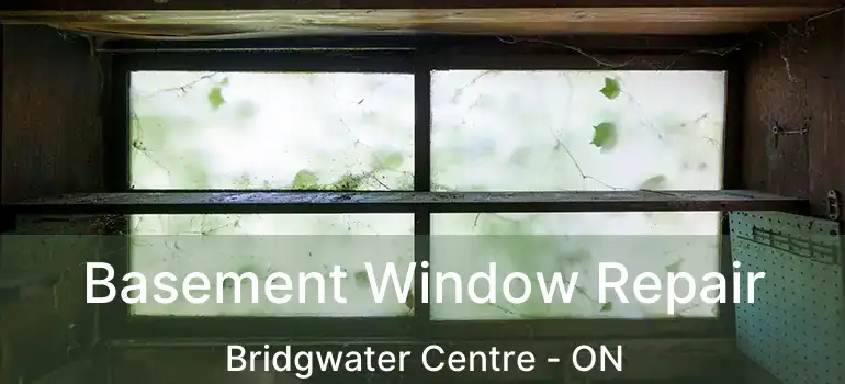  Basement Window Repair Bridgwater Centre - ON