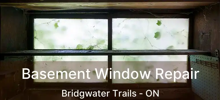  Basement Window Repair Bridgwater Trails - ON