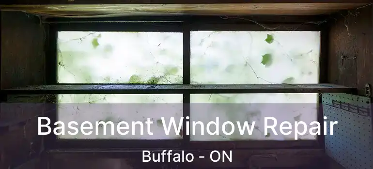  Basement Window Repair Buffalo - ON