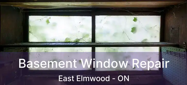  Basement Window Repair East Elmwood - ON