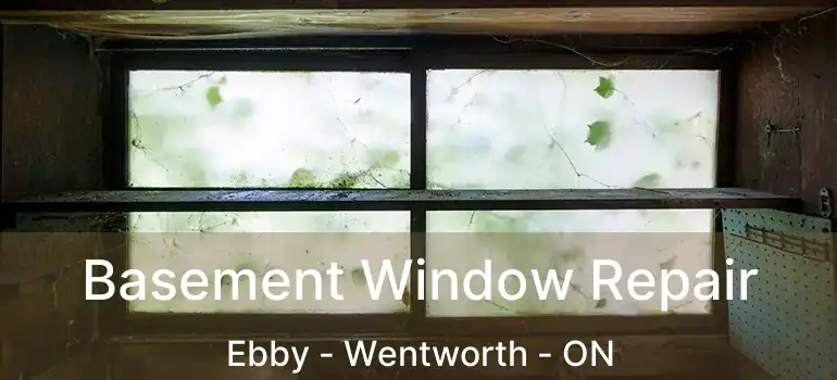  Basement Window Repair Ebby - Wentworth - ON