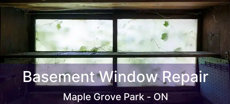  Basement Window Repair Maple Grove Park - ON