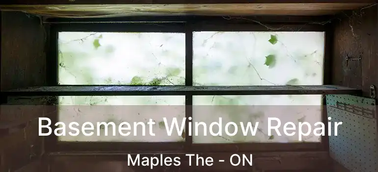  Basement Window Repair Maples The - ON