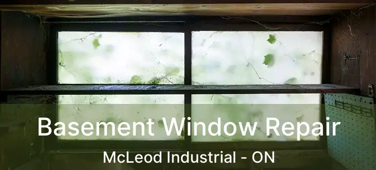  Basement Window Repair McLeod Industrial - ON