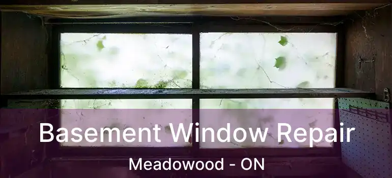  Basement Window Repair Meadowood - ON