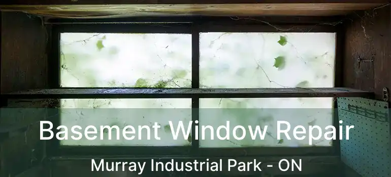  Basement Window Repair Murray Industrial Park - ON