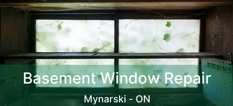  Basement Window Repair Mynarski - ON