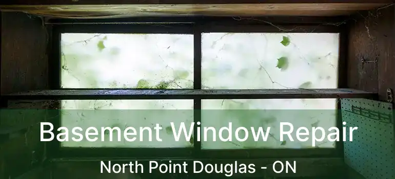  Basement Window Repair North Point Douglas - ON