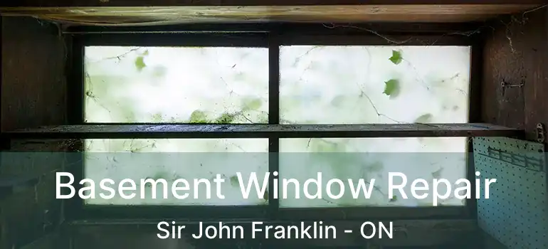  Basement Window Repair Sir John Franklin - ON