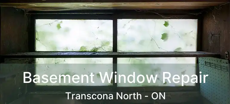  Basement Window Repair Transcona North - ON
