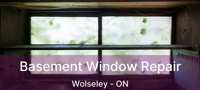  Basement Window Repair Wolseley - ON