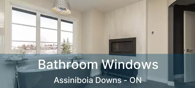 Bathroom Windows Assiniboia Downs - ON