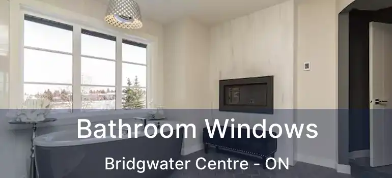  Bathroom Windows Bridgwater Centre - ON