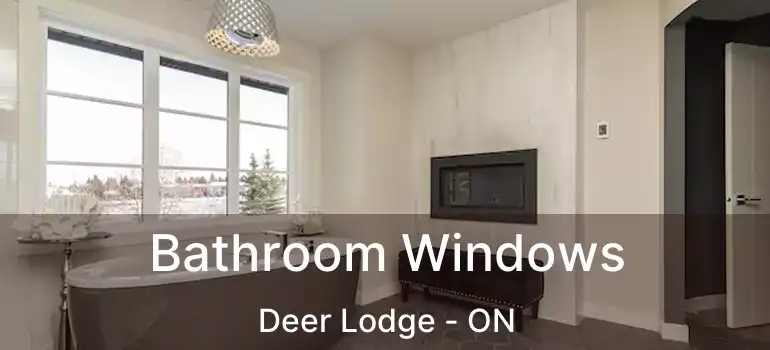  Bathroom Windows Deer Lodge - ON