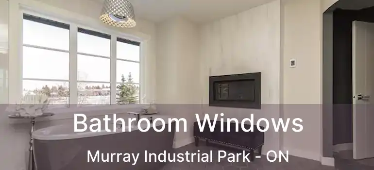  Bathroom Windows Murray Industrial Park - ON