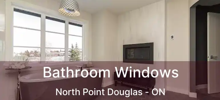  Bathroom Windows North Point Douglas - ON