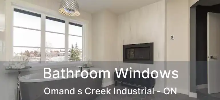  Bathroom Windows Omand s Creek Industrial - ON