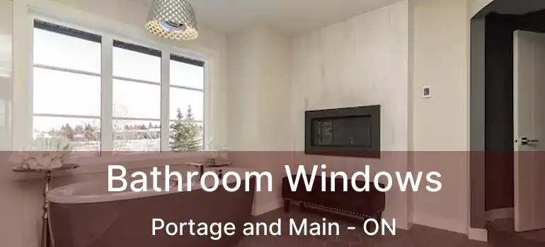  Bathroom Windows Portage and Main - ON