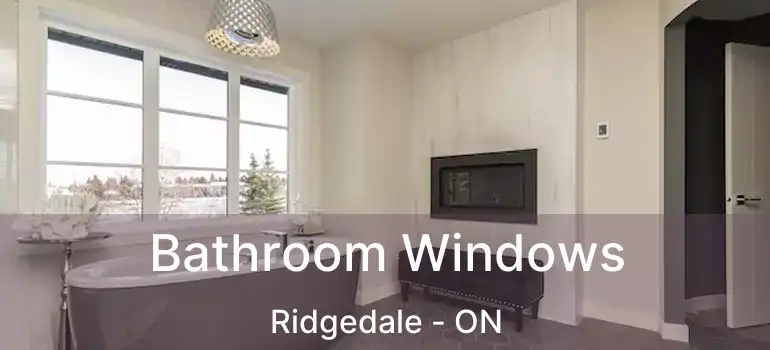  Bathroom Windows Ridgedale - ON