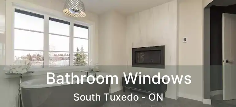  Bathroom Windows South Tuxedo - ON