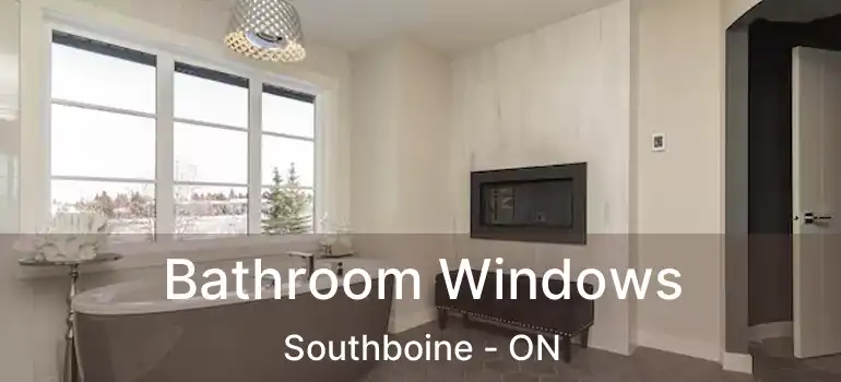  Bathroom Windows Southboine - ON