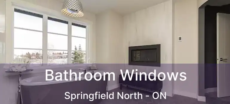  Bathroom Windows Springfield North - ON