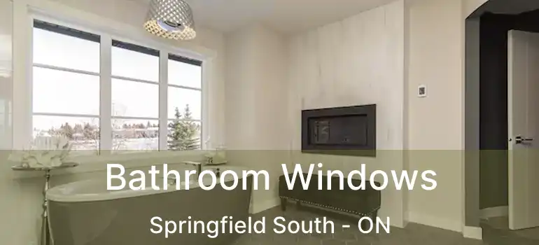  Bathroom Windows Springfield South - ON